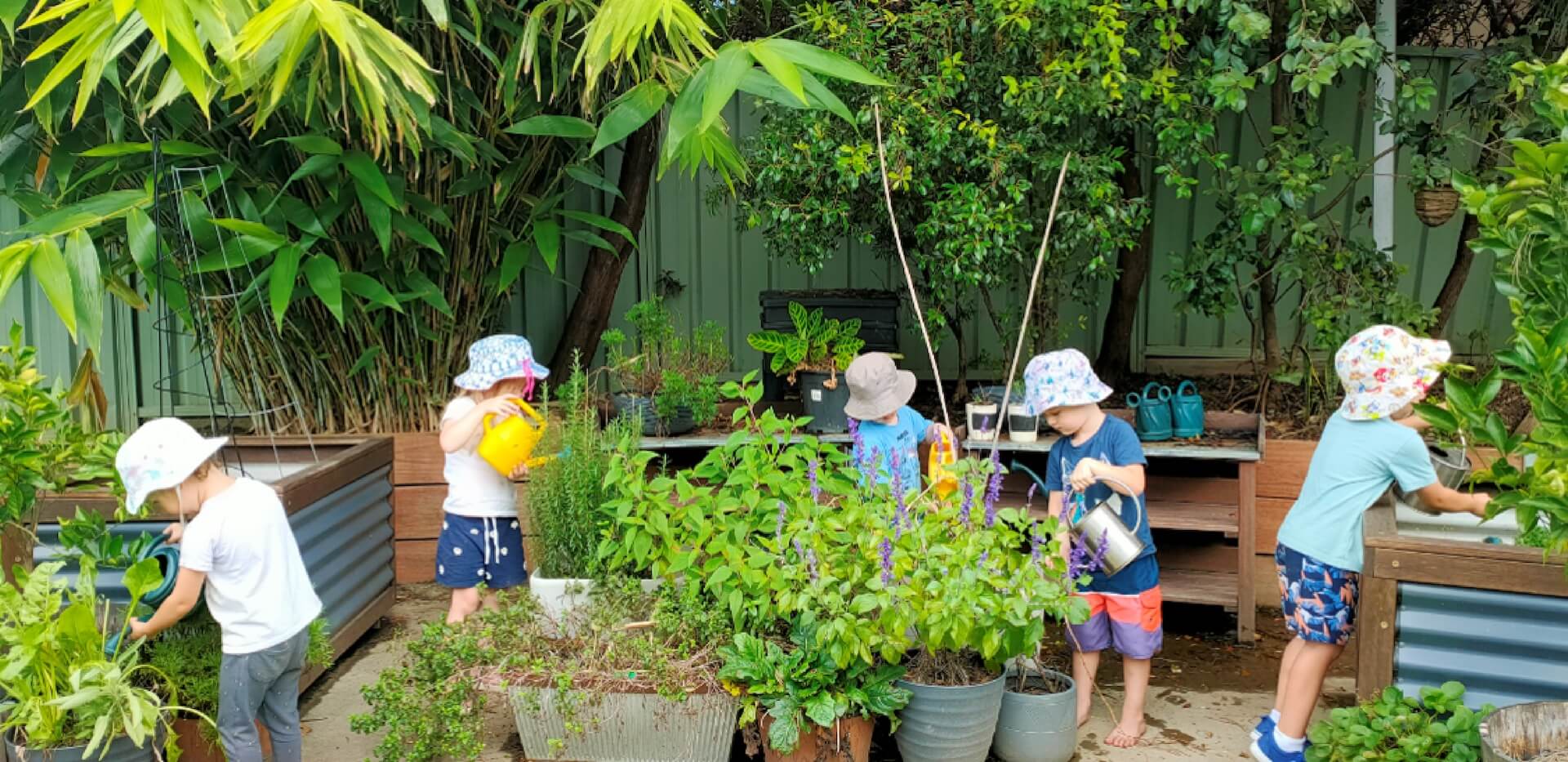 Wide photograph accompanying early learning services information